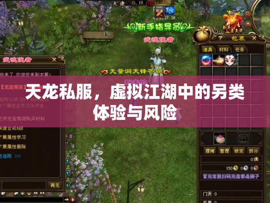 天龙私服，虚拟江湖中的另类体验与风险