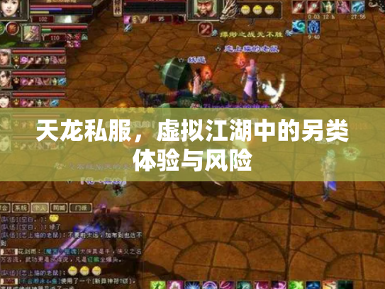 天龙私服，虚拟江湖中的另类体验与风险