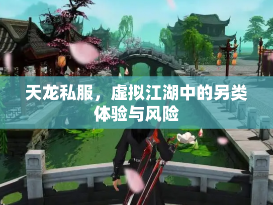天龙私服，虚拟江湖中的另类体验与风险