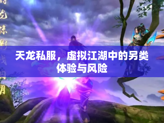 天龙私服，虚拟江湖中的另类体验与风险