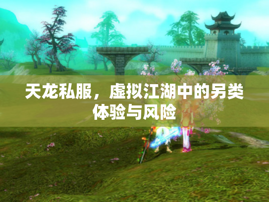 天龙私服，虚拟江湖中的另类体验与风险