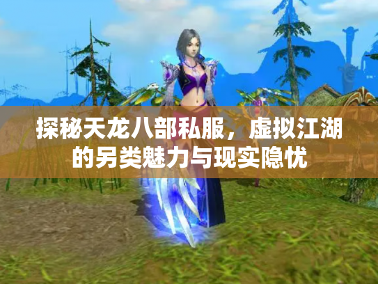 探秘天龙八部私服，虚拟江湖的另类魅力与现实隐忧