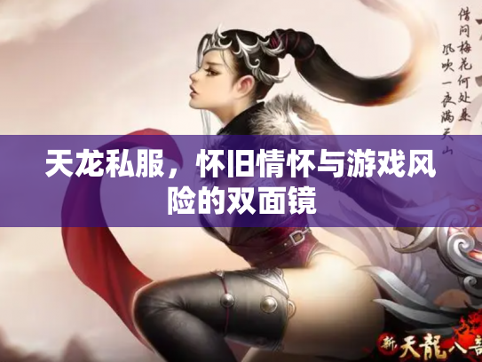 天龙私服，怀旧情怀与游戏风险的双面镜