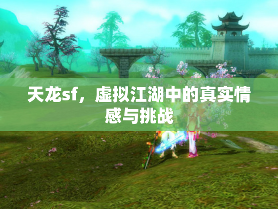 天龙sf，虚拟江湖中的真实情感与挑战