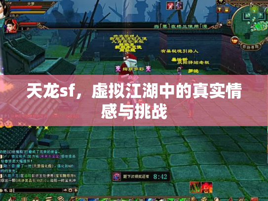 天龙sf，虚拟江湖中的真实情感与挑战