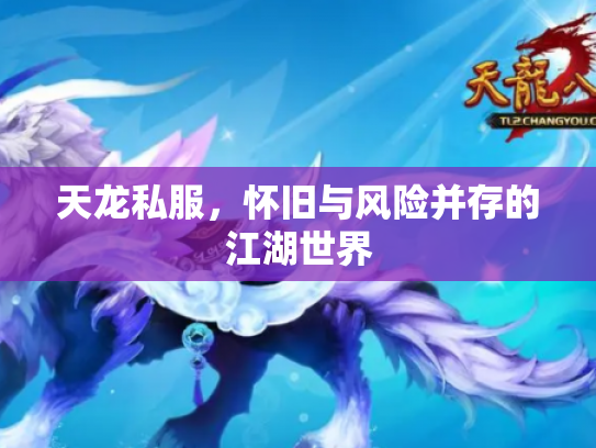 天龙私服，怀旧与风险并存的江湖世界