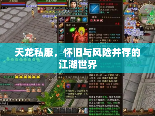 天龙私服，怀旧与风险并存的江湖世界