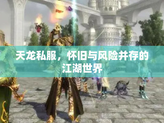 天龙私服，怀旧与风险并存的江湖世界