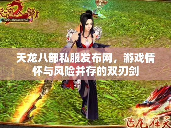 天龙八部私服发布网，游戏情怀与风险并存的双刃剑