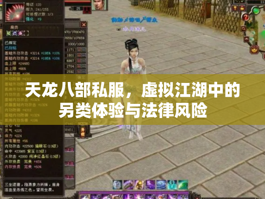 天龙八部私服，虚拟江湖中的另类体验与法律风险