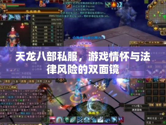 天龙八部私服，游戏情怀与法律风险的双面镜