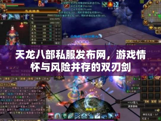 天龙八部私服发布网，游戏情怀与风险并存的双刃剑