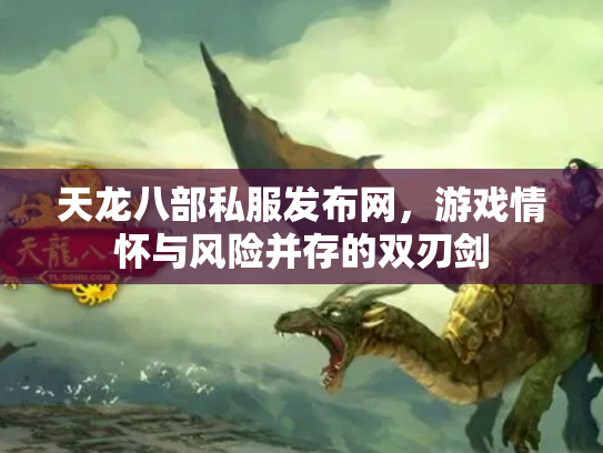 天龙八部私服发布网，游戏情怀与风险并存的双刃剑