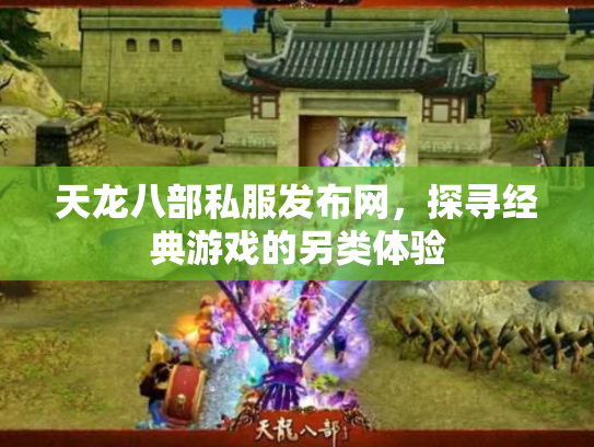 天龙八部私服发布网，探寻经典游戏的另类体验