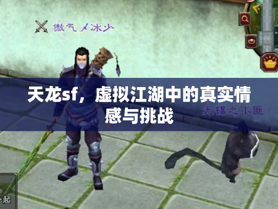 天龙sf，虚拟江湖中的真实情感与挑战