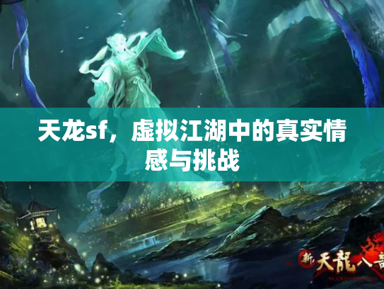 天龙sf，虚拟江湖中的真实情感与挑战