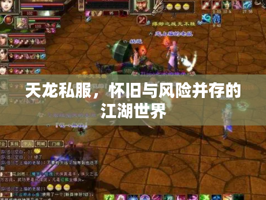 天龙私服，怀旧与风险并存的江湖世界