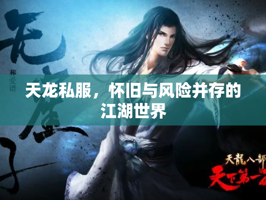 天龙私服，怀旧与风险并存的江湖世界