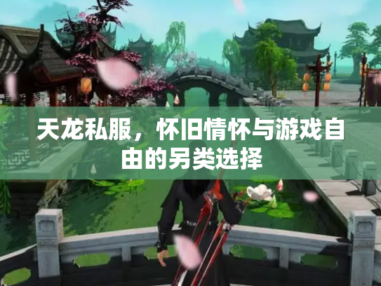 天龙私服，怀旧情怀与游戏自由的另类选择