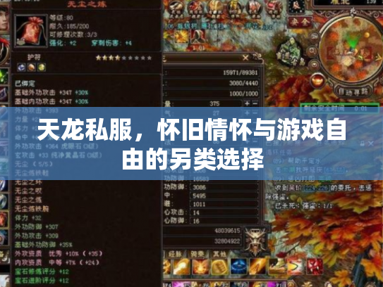 天龙私服，怀旧情怀与游戏自由的另类选择