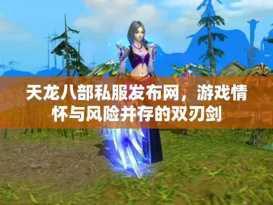 天龙八部私服发布网，游戏情怀与风险并存的双刃剑