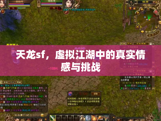 天龙sf，虚拟江湖中的真实情感与挑战