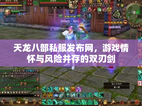 天龙八部私服发布网，游戏情怀与风险并存的双刃剑