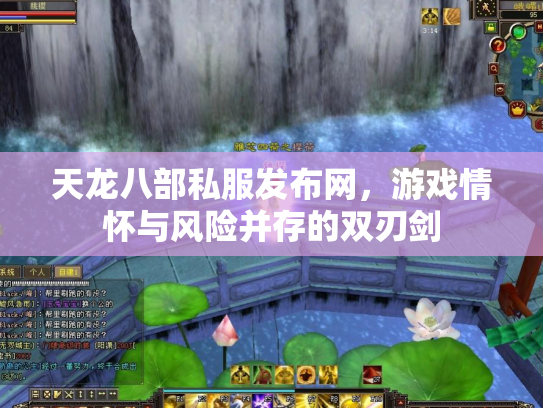 天龙八部私服发布网，游戏情怀与风险并存的双刃剑