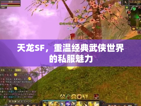 天龙SF，重温经典武侠世界的私服魅力