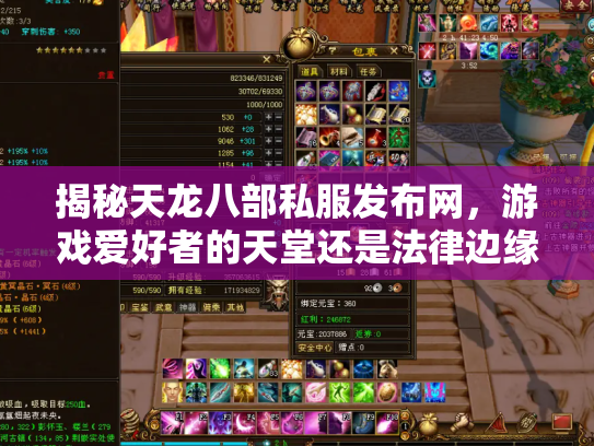 揭秘天龙八部私服发布网，游戏爱好者的天堂还是法律边缘的雷区？