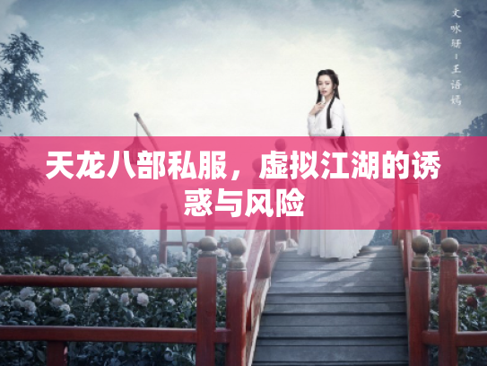 天龙八部私服，虚拟江湖的诱惑与风险