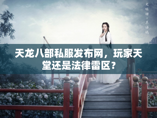 天龙八部私服发布网，玩家天堂还是法律雷区？