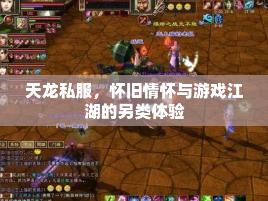 天龙私服，怀旧情怀与游戏江湖的另类体验