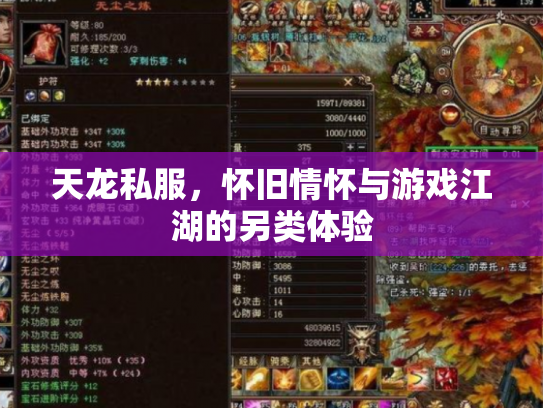 天龙私服，怀旧情怀与游戏江湖的另类体验