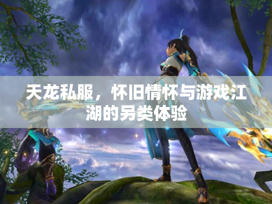 天龙私服，怀旧情怀与游戏江湖的另类体验