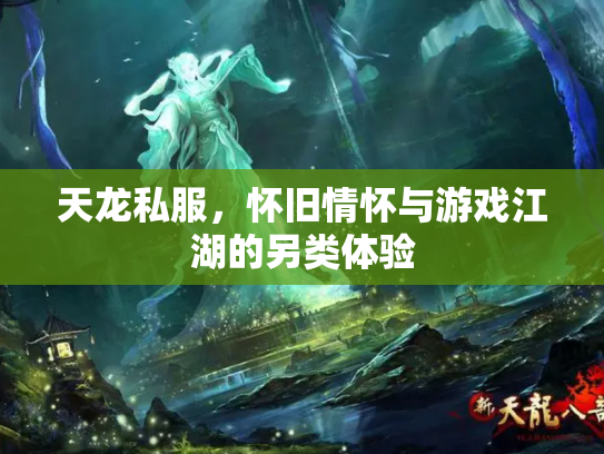 天龙私服，怀旧情怀与游戏江湖的另类体验