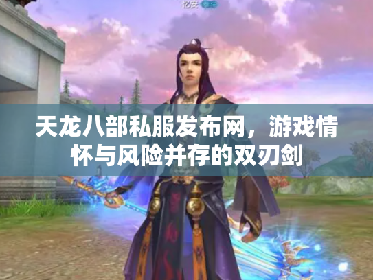 天龙八部私服发布网，游戏情怀与风险并存的双刃剑
