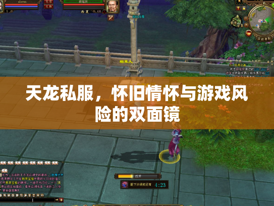 天龙私服，怀旧情怀与游戏风险的双面镜