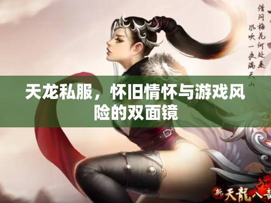 天龙私服，怀旧情怀与游戏风险的双面镜