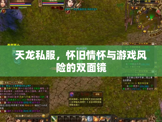 天龙私服，怀旧情怀与游戏风险的双面镜