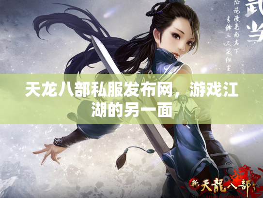 天龙八部私服发布网，游戏江湖的另一面