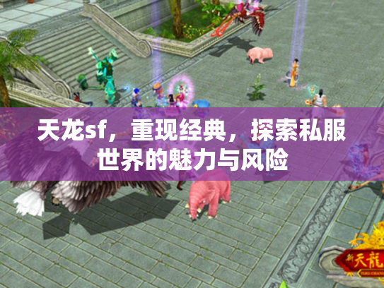 天龙sf，重现经典，探索私服世界的魅力与风险