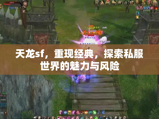 天龙sf，重现经典，探索私服世界的魅力与风险