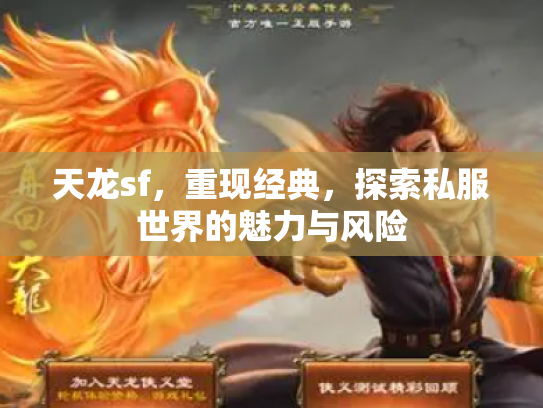 天龙sf，重现经典，探索私服世界的魅力与风险