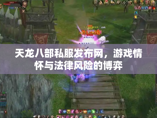 天龙八部私服发布网，游戏情怀与法律风险的博弈