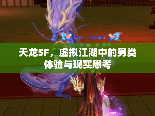 天龙SF，虚拟江湖中的另类体验与现实思考
