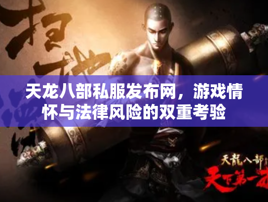 天龙八部私服发布网，游戏情怀与法律风险的双重考验