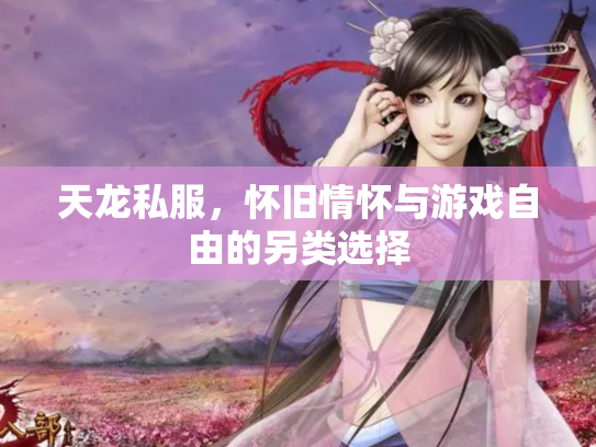 天龙私服，怀旧情怀与游戏自由的另类选择