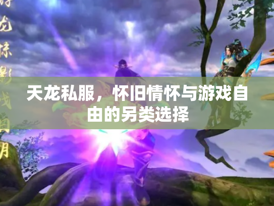 天龙私服，怀旧情怀与游戏自由的另类选择
