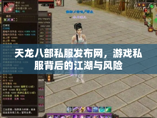 天龙八部私服发布网，游戏私服背后的江湖与风险